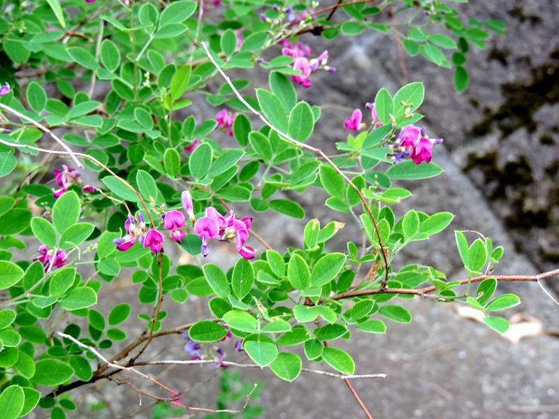 20190605-8495