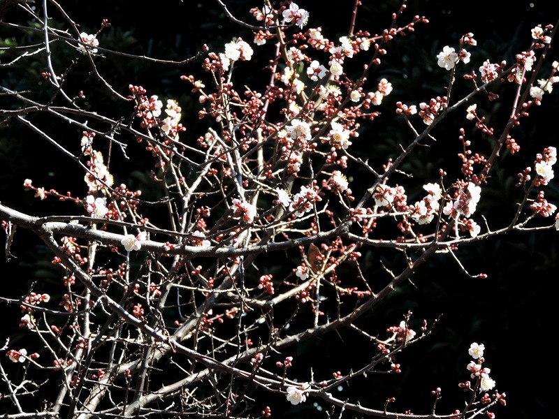 20180307-0055