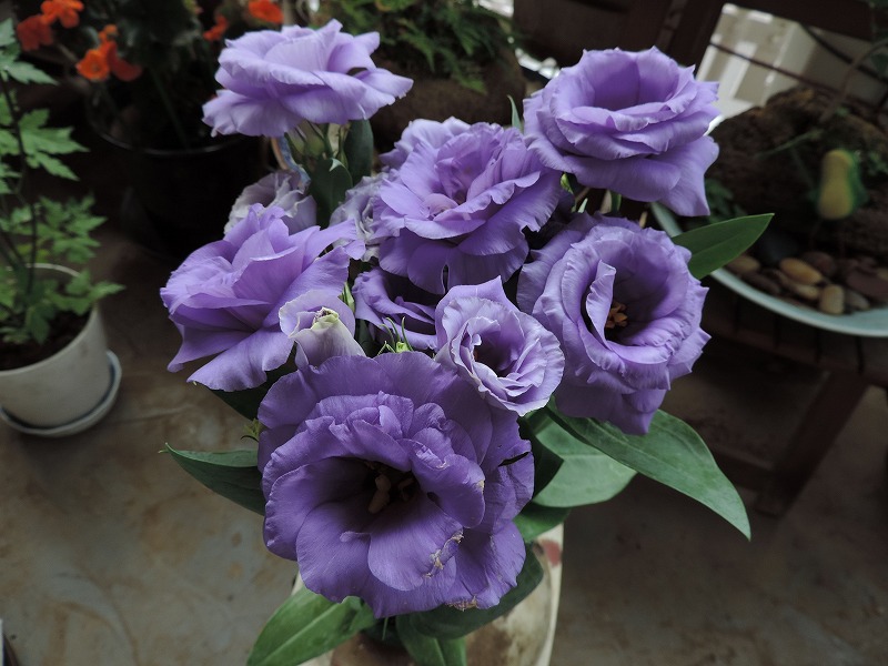20150702-2921