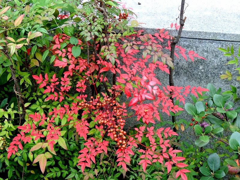 20151005-3389
