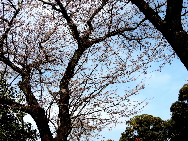 20160331-4429