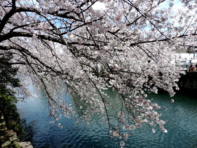20160404-4434