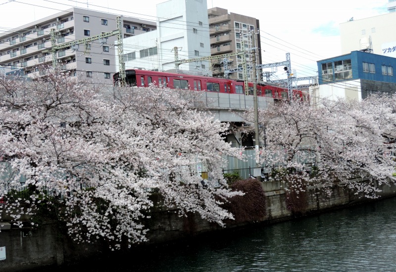 20160404-4451