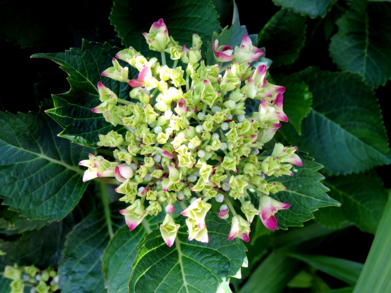 20160518-4810