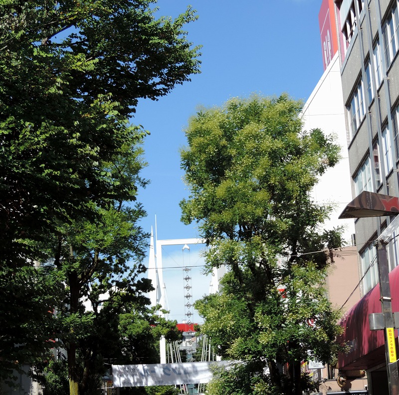 20160805-5393