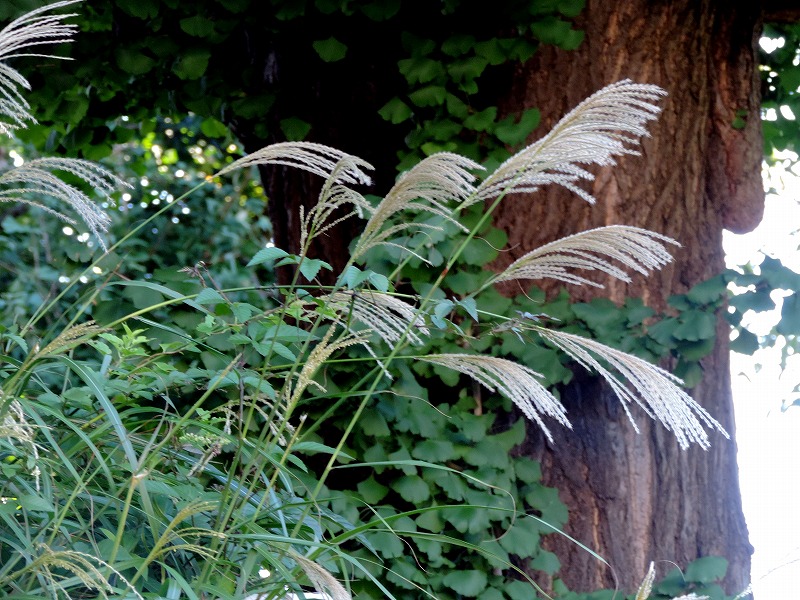 20160826-5483