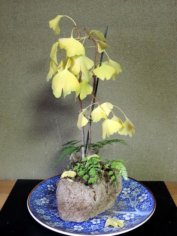 20161121-5874