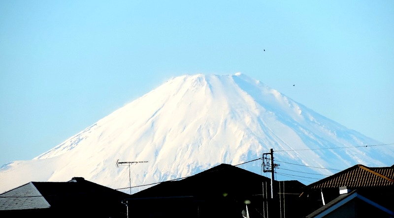 20161219-6050