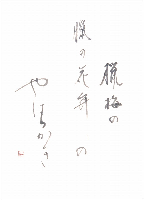 20170104-6118