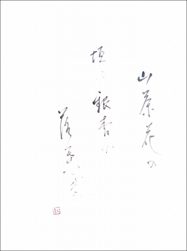 20170113-6204