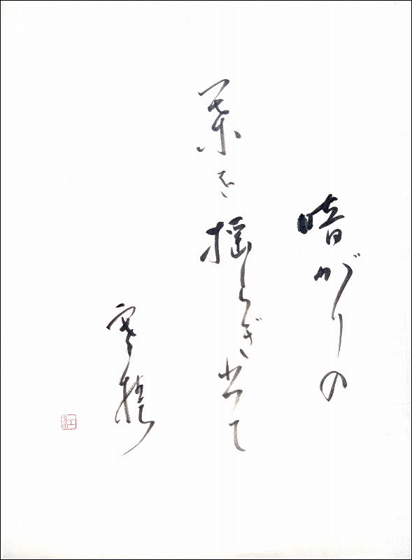 20170113-6213