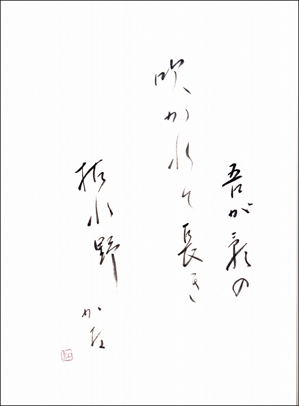 20170113-6219