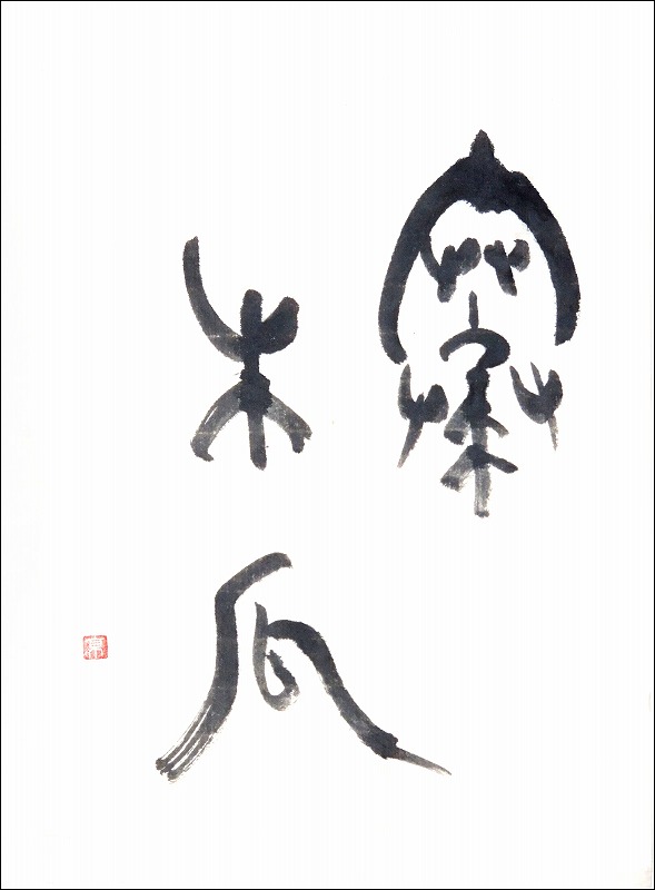 20170113-6224
