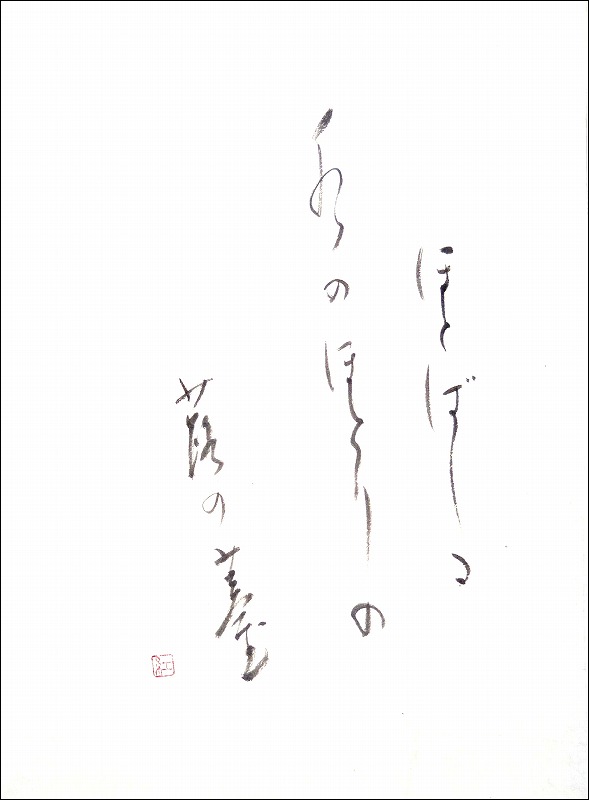 20170301-6439