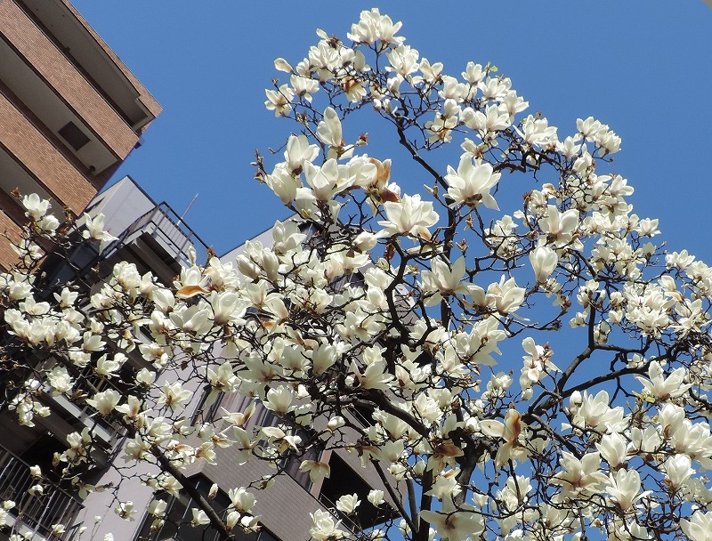 20170309-6585
