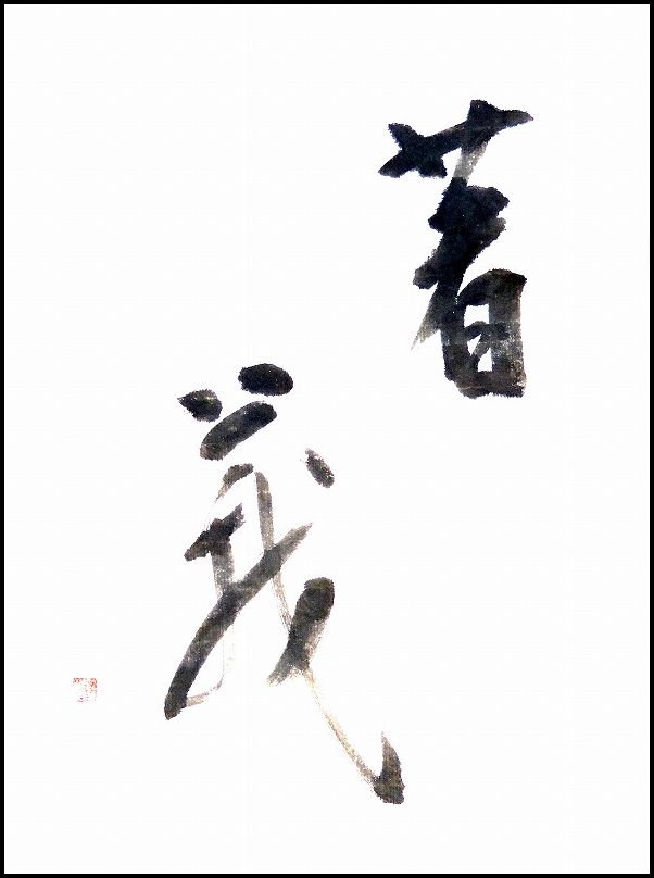 20170412-7029