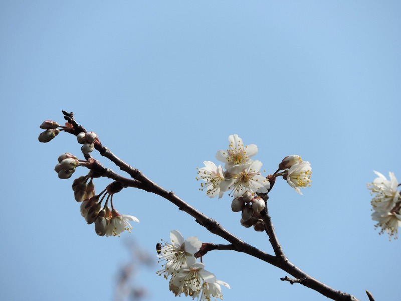 20190303-7480