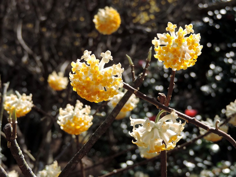20190320-7697