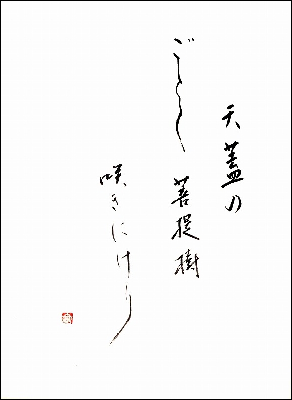 20170526-7745