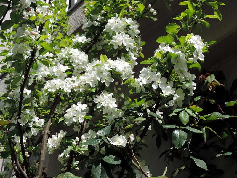 20190409-7914