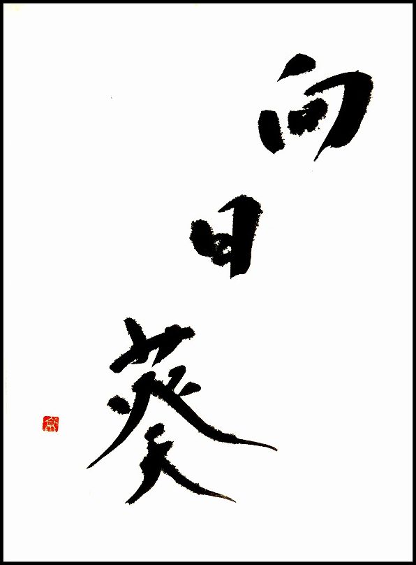 20170724-8107