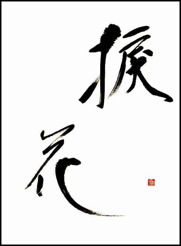 20170724-8109