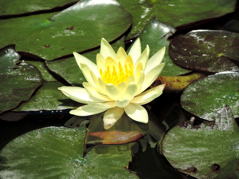 20190513-8237