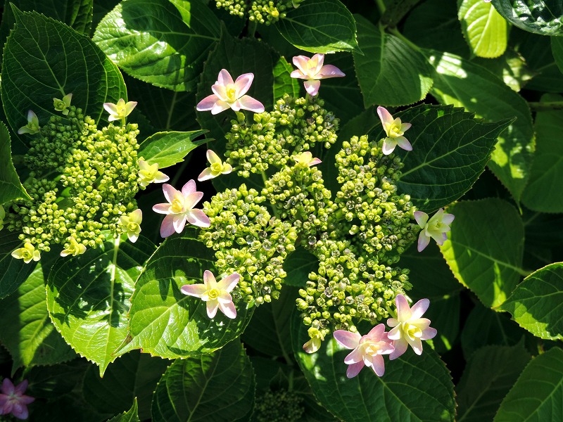 20190524-8345