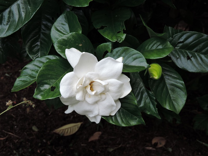 20190626-8613