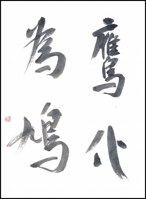 20190121-9855