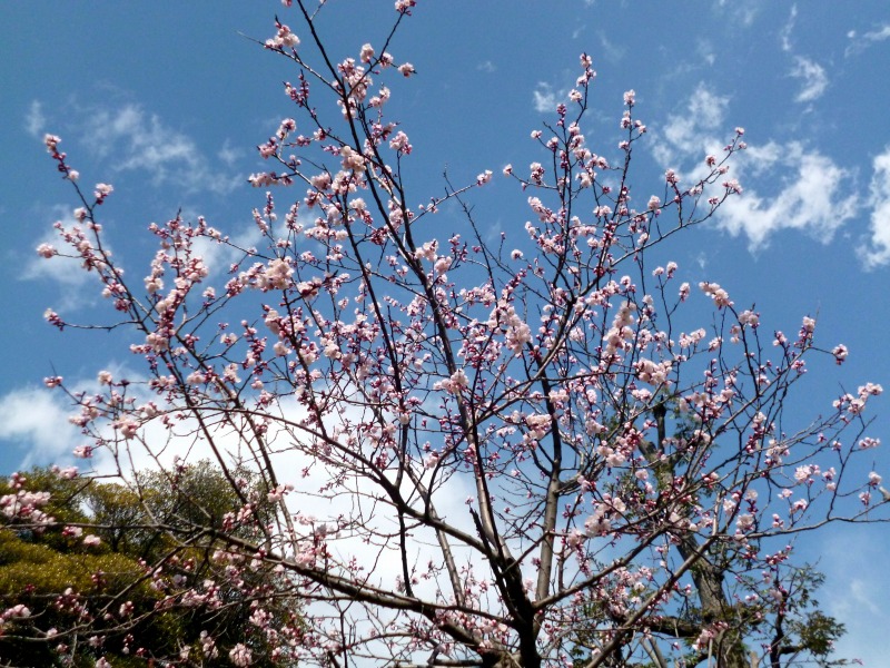 20140324-0204