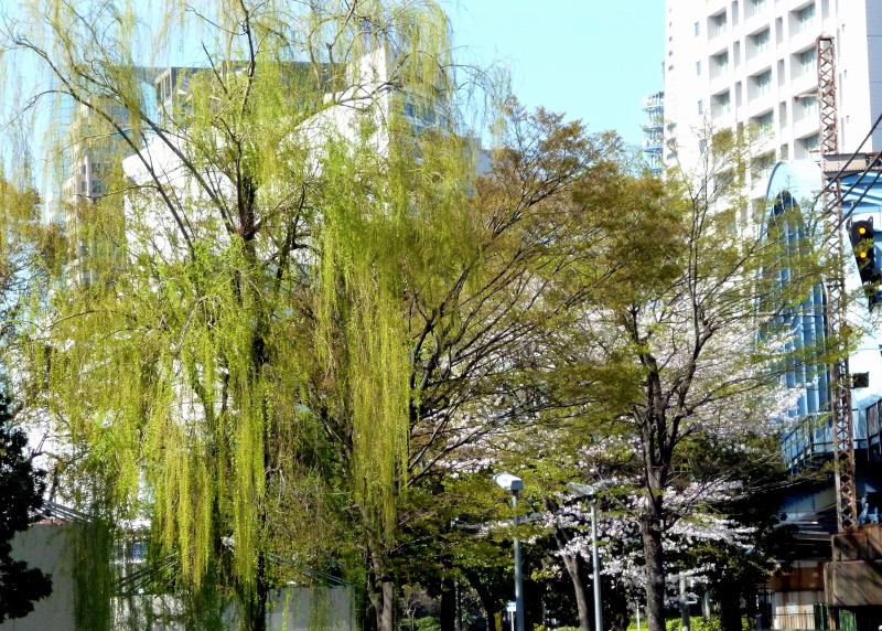 20140331-0222