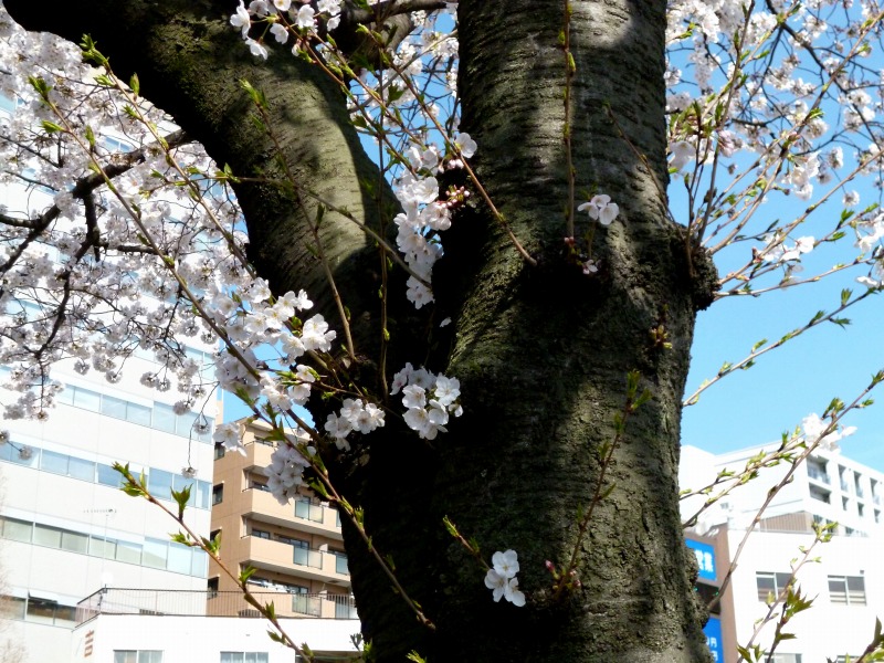 20140331-0235