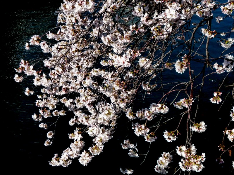 20140331-0254