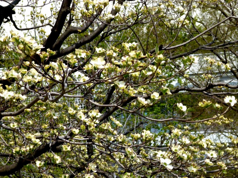 20140409-349