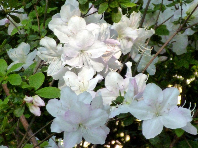 20140430-550