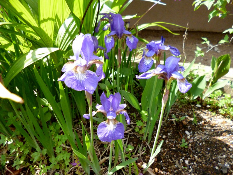 20140501-614
