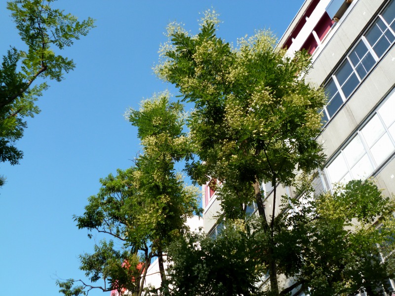 20140731-0197