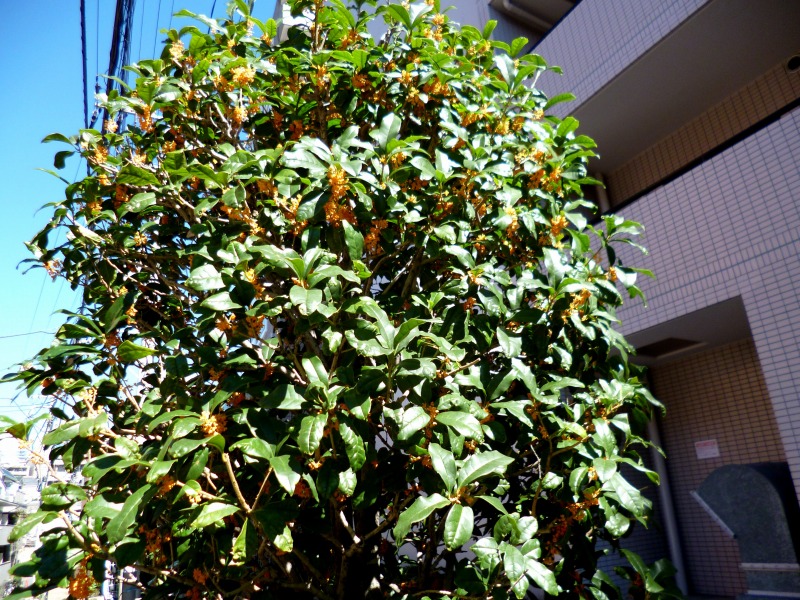 20141014-0584