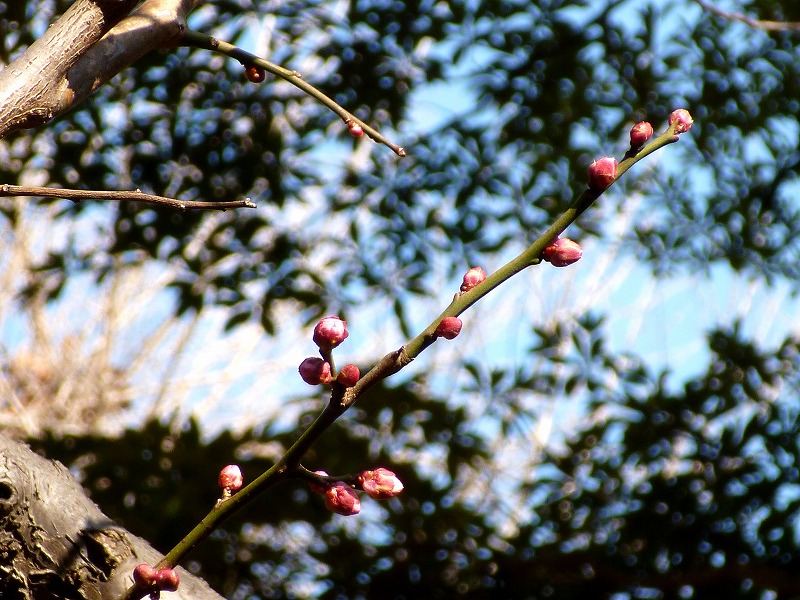 20150128-0016