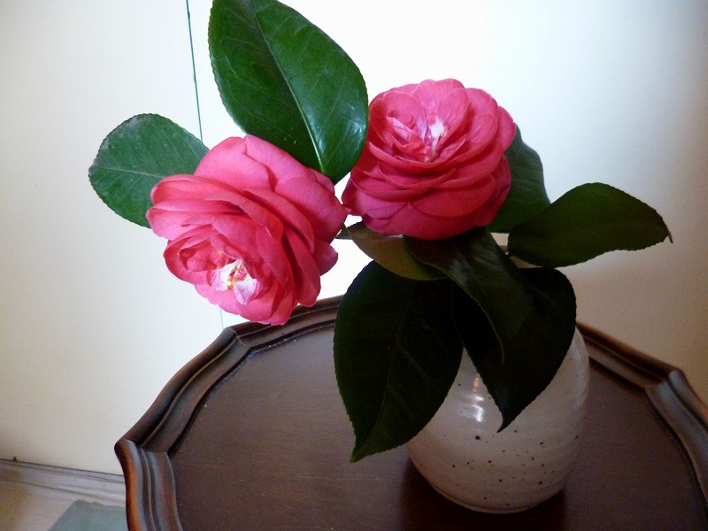 20150223-0280