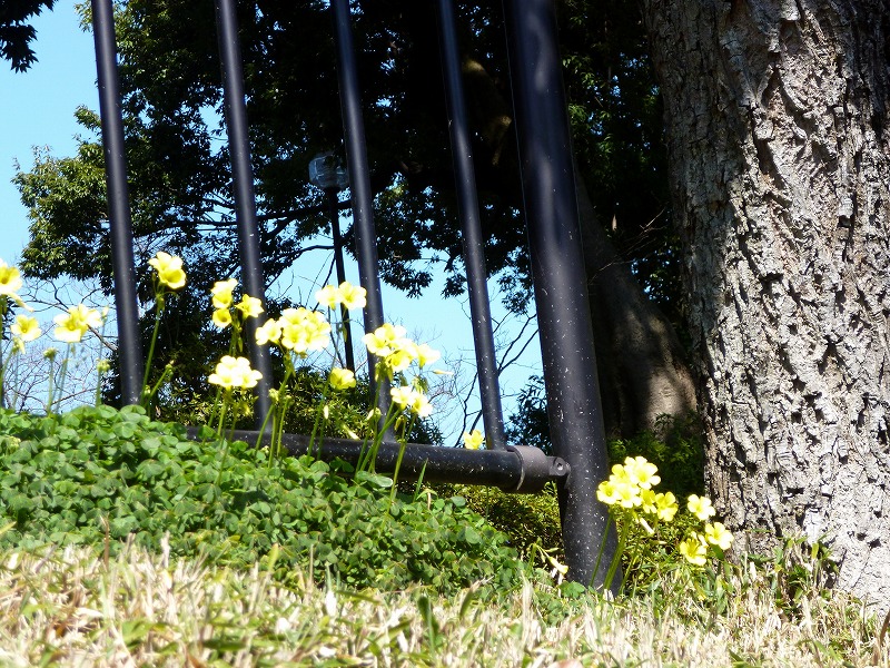 20150313-0511
