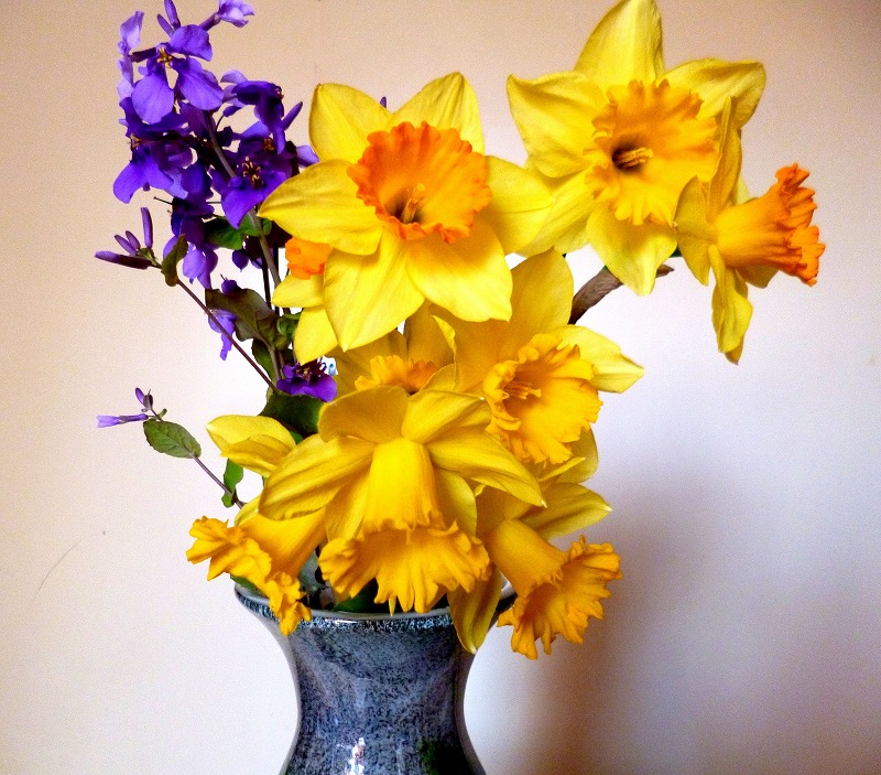 20150326-0690