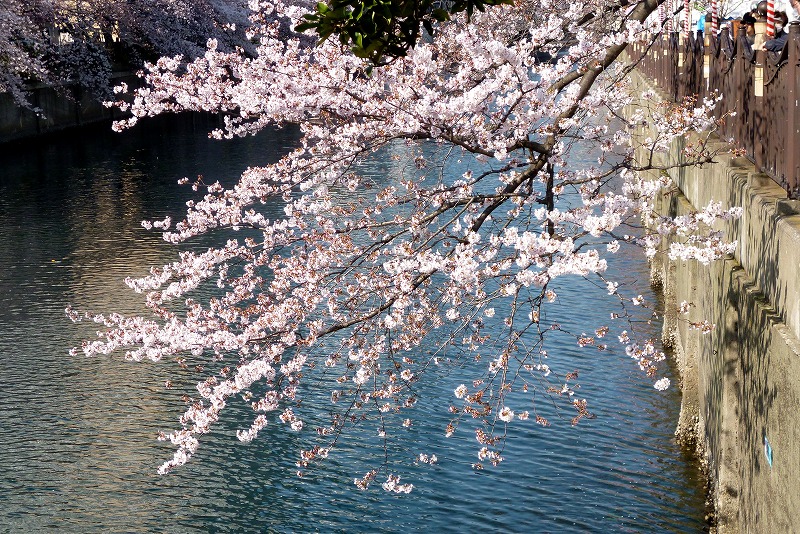 20150330-0804