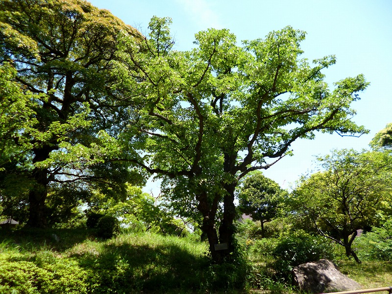 20150511-0489