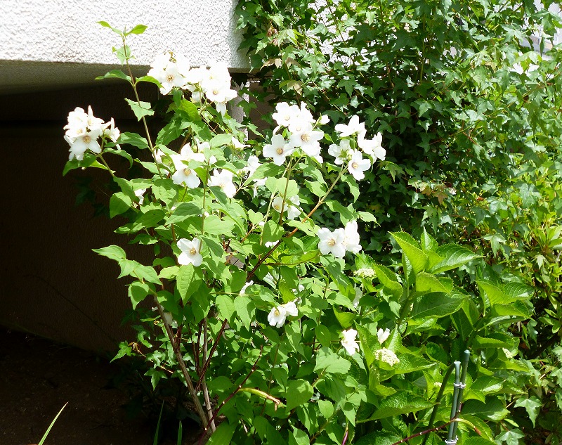 20150522-0715