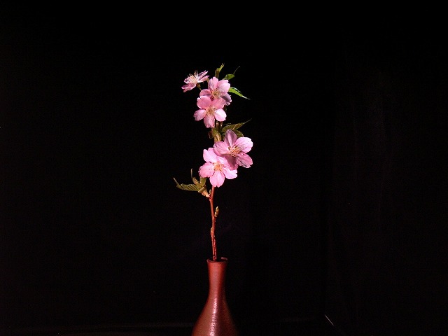 20110225¤µ¤¯¤é£²£µ£¸£° 20110225¤µ¤¯¤é£²£µ£¸£°